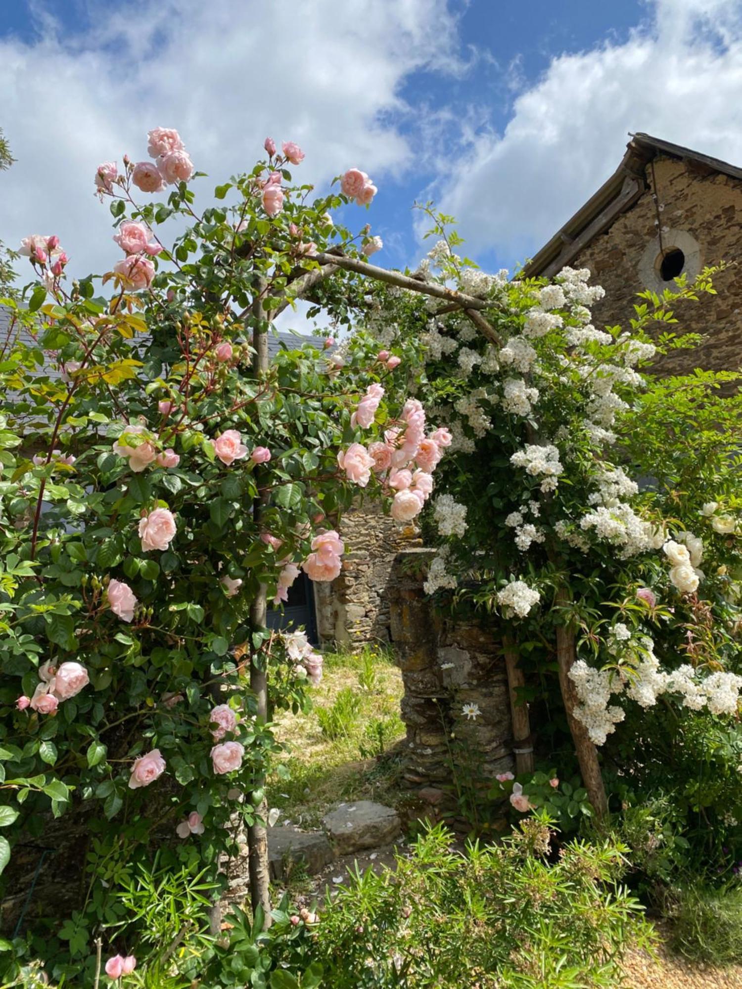 Bed and Breakfast La Mouliniere, Jolie Longere Du Xviie La Jaille-Yvon Exterior foto